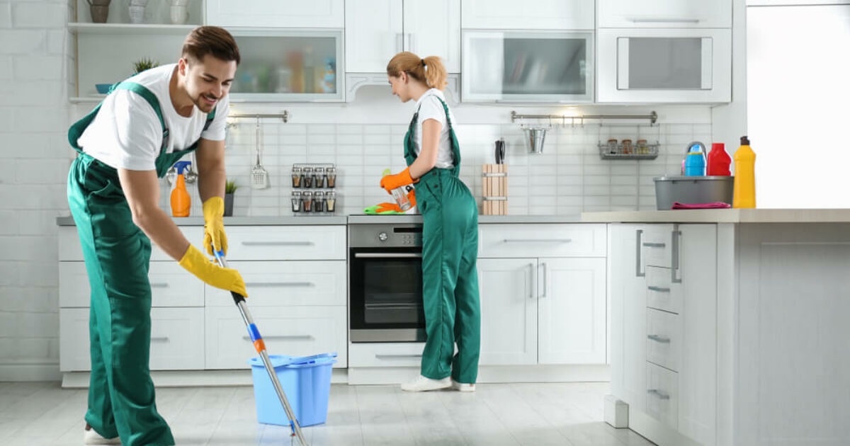 Clean Your Kitchen To Prevent Flies