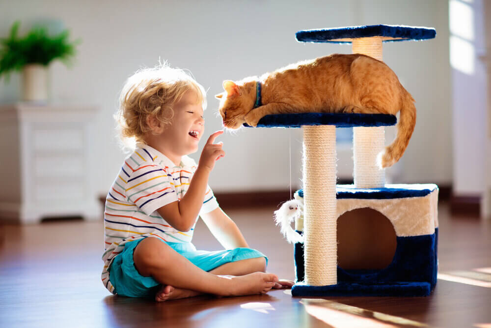 A child playing with a cat on a clean floor